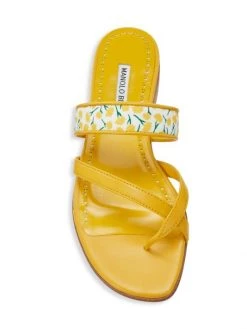 Manolo Blahnik Susa Floral Leather Sandals -Kiki shop online unnamed file 1358